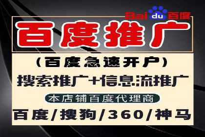 搜索引擎营销（SEM）广告投放的五大成功案例